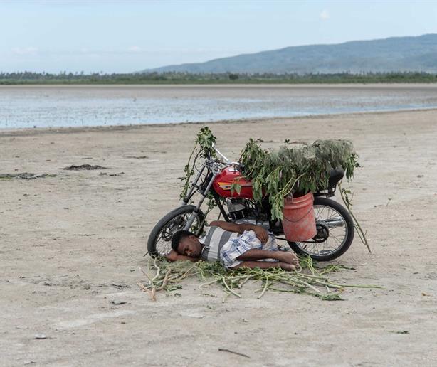 C&oacute;mo la percepci&oacute;n y las emociones normalizan el deterioro ambiental