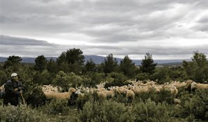 Calendario ambiental 2026: un a&ntilde;o repleto de fechas para el medioambiente