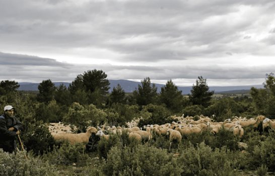 Calendario ambiental 2026: un a&ntilde;o repleto de fechas para el medioambiente