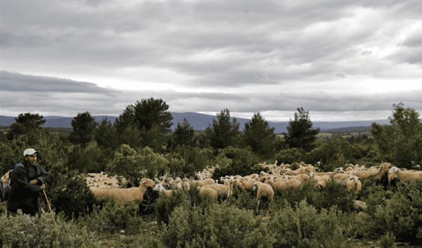 Calendario ambiental 2026: un a&ntilde;o repleto de fechas para el medioambiente