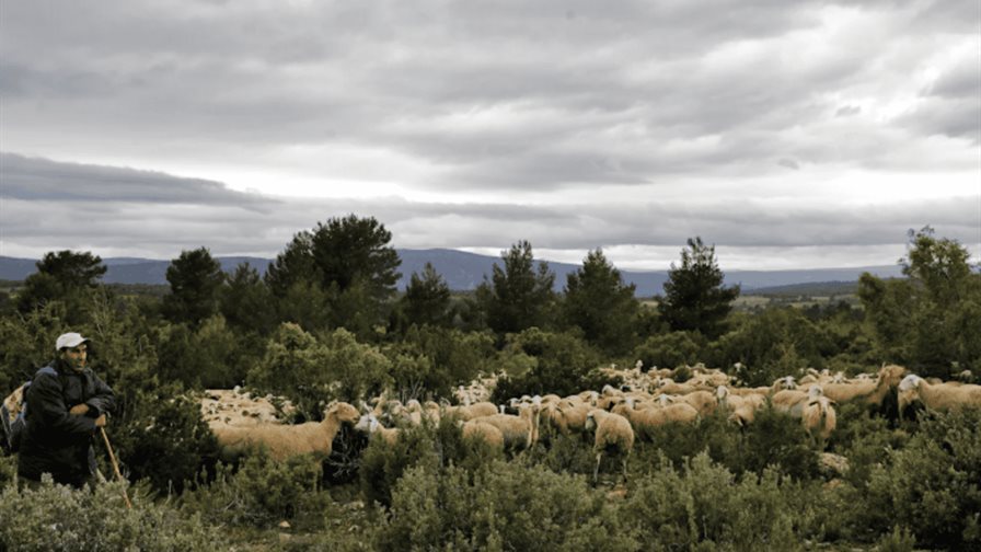 Calendario ambiental 2026: un a&ntilde;o repleto de fechas para el medioambiente
