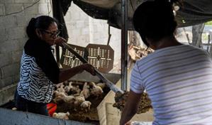 Los hijos de detenidos, v&iacute;ctimas invisibles de la guerra antipandillas en El Salvador