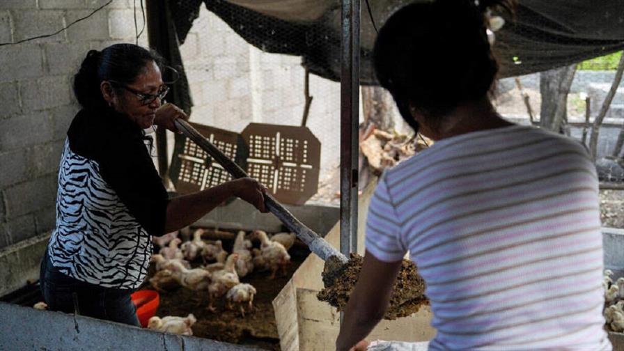 Los hijos de detenidos, víctimas invisibles de la guerra antipandillas en El Salvador Los hijos de detenidos, víctimas invisibles de la guerra antipandillas en El Salvador