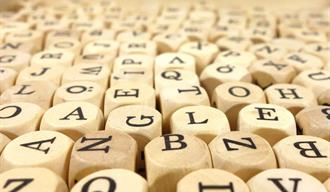 Los fonemas y los problemas que su funci&oacute;n distintiva genera