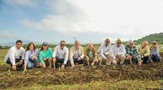 Intabaco y la Universidad ISA inician formaci&oacute;n acad&eacute;mica y pr&aacute;ctica en cultivo de tabaco