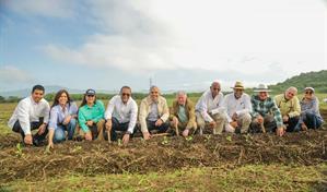 Intabaco y la Universidad ISA inician formaci&oacute;n acad&eacute;mica y pr&aacute;ctica en cultivo de tabaco