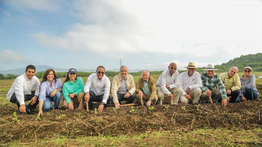 Intabaco y la Universidad ISA inician formaci&oacute;n acad&eacute;mica y pr&aacute;ctica en cultivo de tabaco