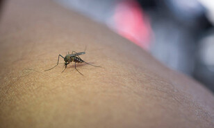 &iquest;Cu&aacute;l es la provincia con mayor incidencia de dengue en la Rep&uacute;blica Dominicana?