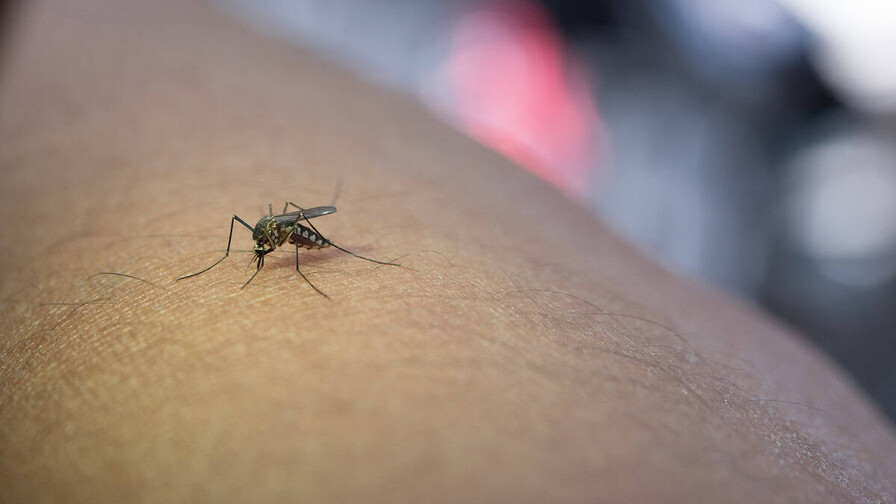 ¿Cuál es la provincia con mayor incidencia de dengue en la República Dominicana? ¿Cuál es la provincia con mayor incidencia de dengue en la República Dominicana?