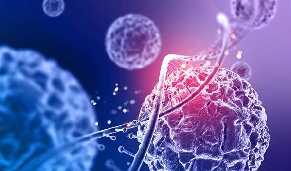 Un estudio descubre el nanomensajero que mantiene las c&eacute;lulas en funcionamiento