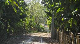 PN asegura investigaciones avanzan en "fase secreta" a 17 d&iacute;as de desaparici&oacute;n de ni&ntilde;a en Imbert