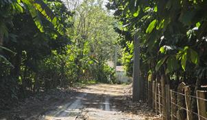 PN asegura investigaciones avanzan en "fase secreta" a 17 d&iacute;as de desaparici&oacute;n de ni&ntilde;a en Imbert