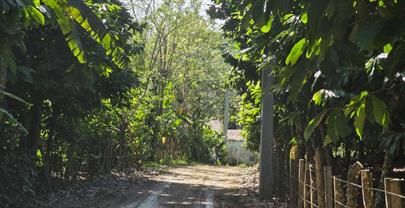 PN asegura investigaciones avanzan en "fase secreta" a 17 d&iacute;as de desaparici&oacute;n de ni&ntilde;a en Imbert