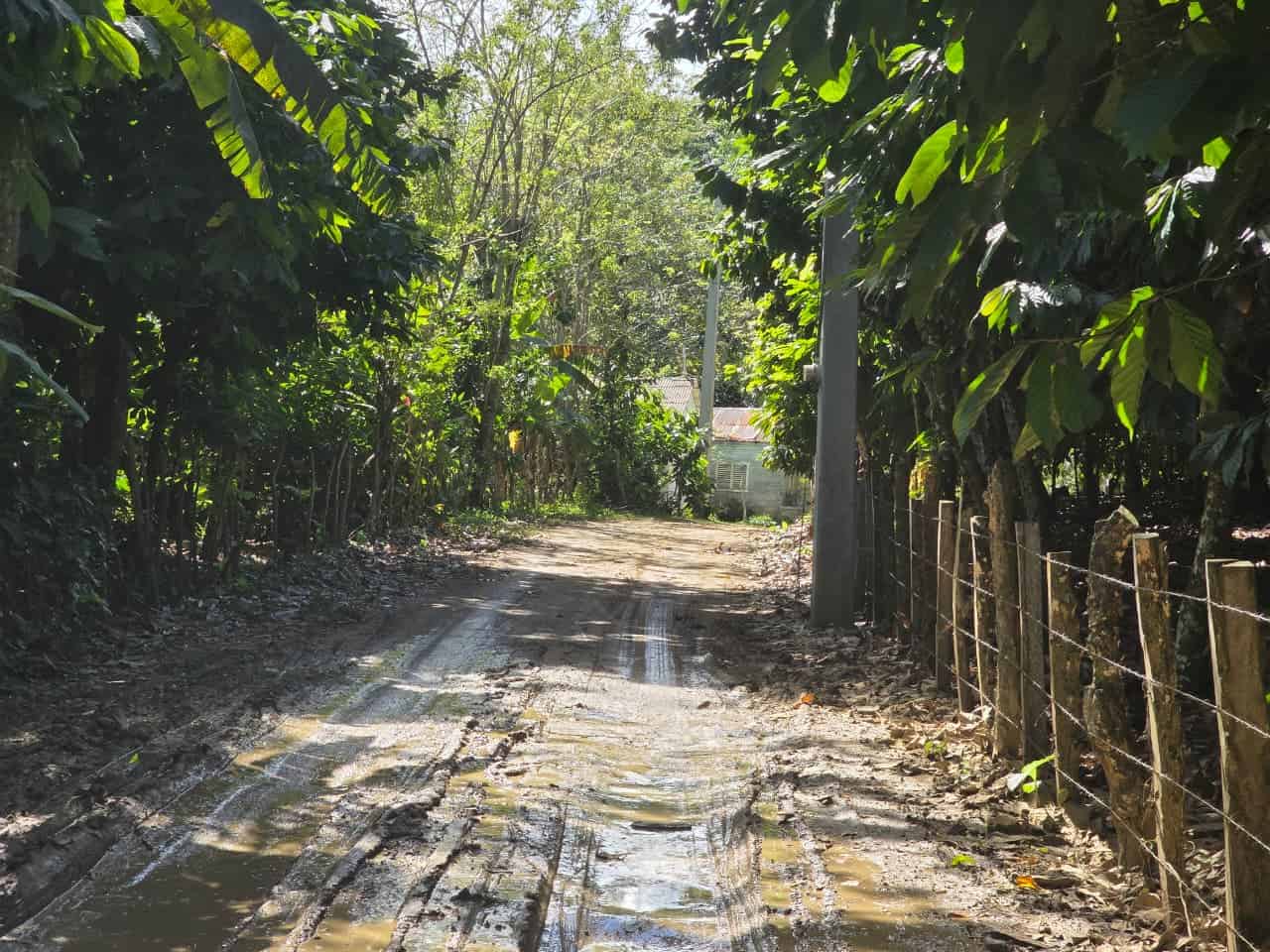 [object HTMLTextAreaElement]