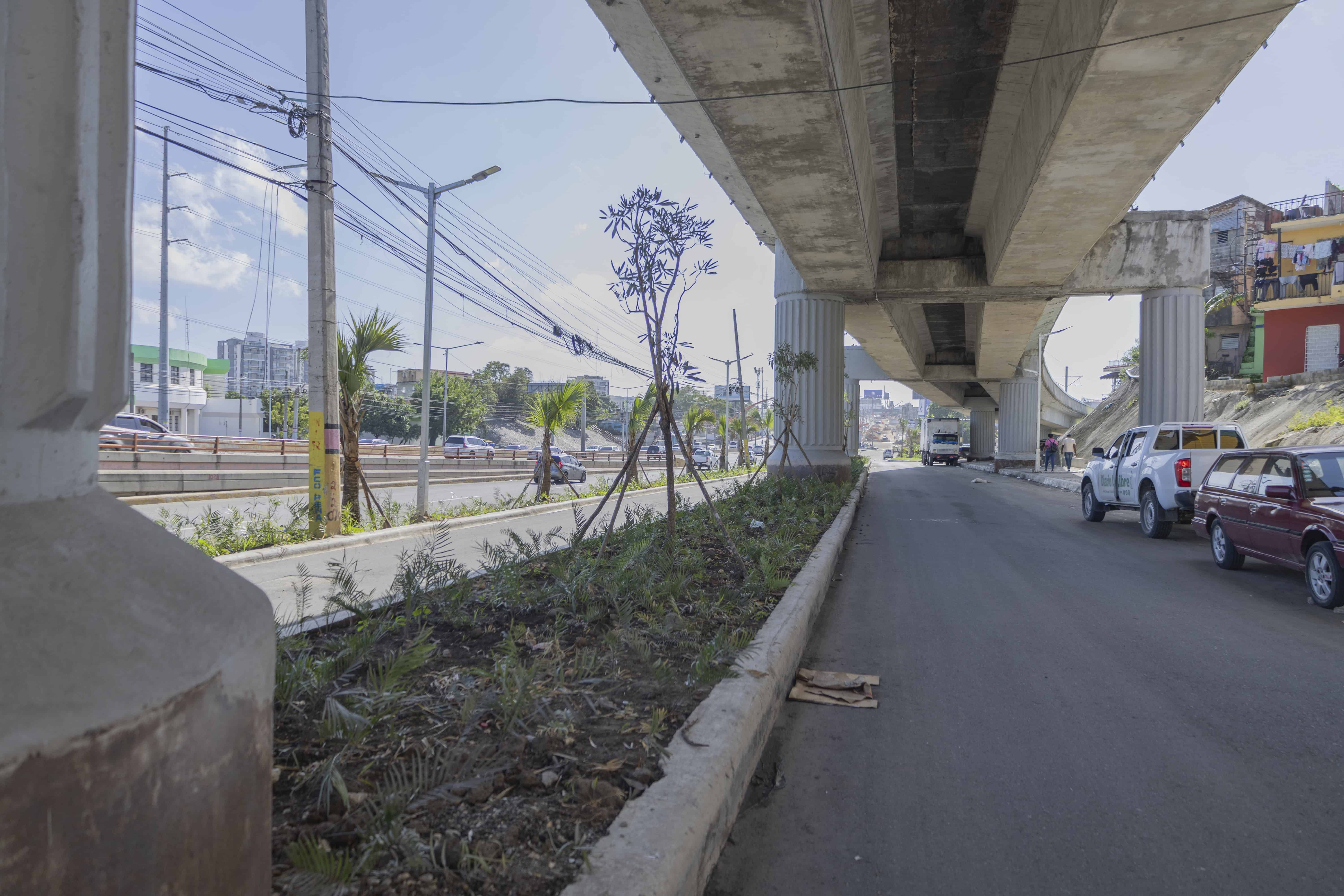 Algnos tramos ya tienen plantas ornamentales.&nbsp;&nbsp;