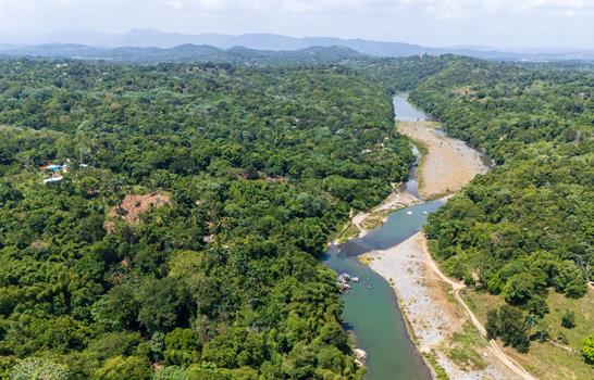 Estudios revelan colapso del r&iacute;o Haina y activan intervenci&oacute;n ambiental