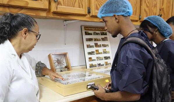 Patentes y estudios, pero poca implementaci&oacute;n: la gran deuda del Fondocyt