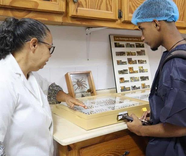 Patentes y estudios, pero poca implementaci&oacute;n: la gran deuda del Fondocyt