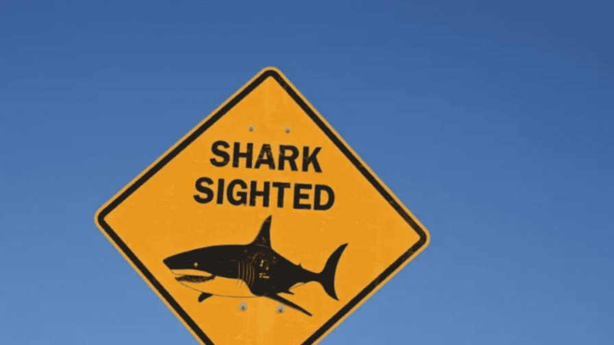 Niño lucha por su vida tras ataque de tiburón en Australia