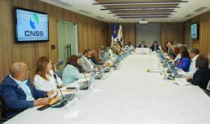 El CNSS extiende plazo de atenciones m&eacute;dicas por accidentes de tr&aacute;nsito