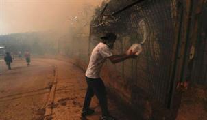 Chile lucha contra mort&iacute;feros incendios que avanzan hacia el sur del pa&iacute;s