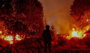 Detienen a un sospechoso de iniciar un fuego intencionalmente en la zona de incendios en Chile