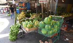 Reformas estructurales, la &uacute;nica forma de reducir la informalidad