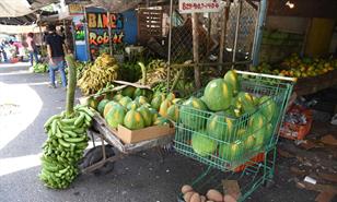 Reformas estructurales, la &uacute;nica forma de reducir la informalidad