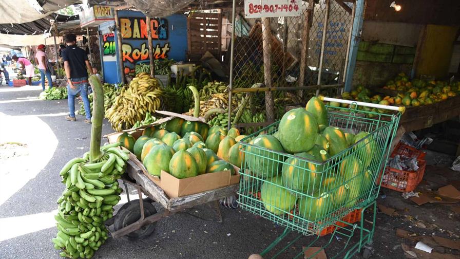 Reformas estructurales, la &uacute;nica forma de reducir la informalidad