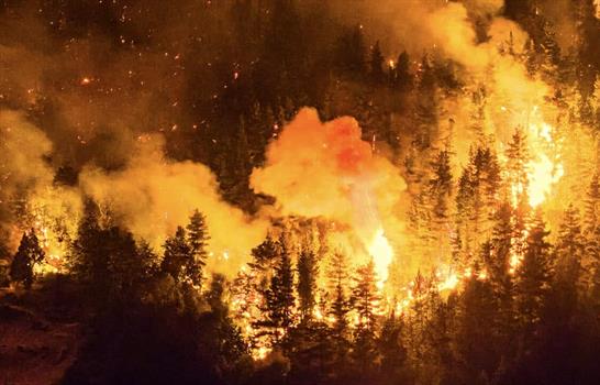 Los incendios en la Patagonia argentina se reavivan a causa de las altas temperaturas