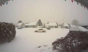 Dominicanos en EE. UU. relatan c&oacute;mo enfrentan la intensa tormenta de nieve