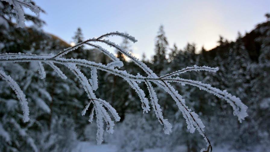 Localidades del oeste de Canad&aacute; registran las temperaturas m&aacute;s bajas de su historia