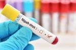 La India rebaja la alarma por el virus Nipah y confirma 196 pruebas negativas de contactos