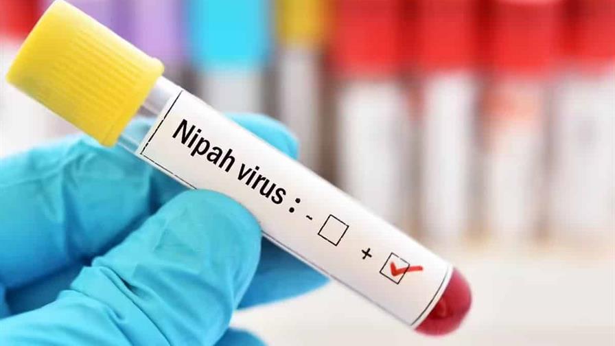 La India rebaja la alarma por el virus Nipah y confirma 196 pruebas negativas de contactos La India rebaja la alarma por el virus Nipah y confirma 196 pruebas negativas de contactos