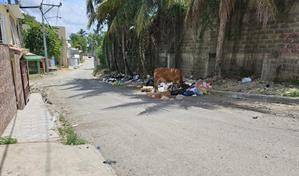 Animales sueltos: problema mortal sin freno en las v&iacute;as