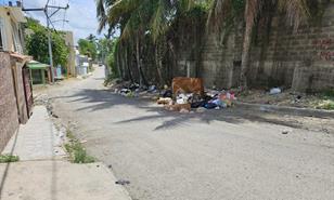 Animales sueltos: problema mortal sin freno en las v&iacute;as