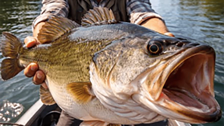 Habladores, parlanchines y mit&oacute;manos