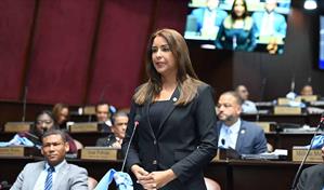 Selin&eacute;e M&eacute;ndez denuncia retraso de proyecto que garantizar&iacute;a cupos escolares sin exclusiones