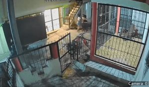 Tragedia entre hermanas en SFM destapa realidad de uniones tempranas y descomposici&oacute;n familiar