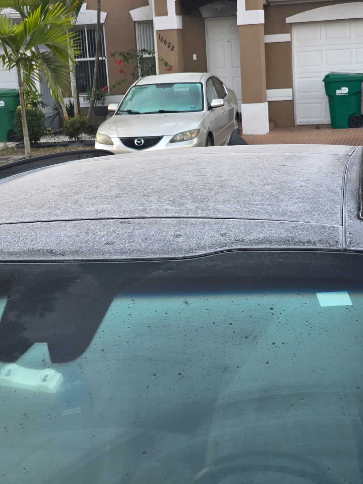 Imágenes de los efectos del frente frío cuando cruzó por Florida este fin de semana.