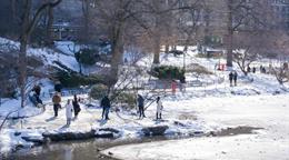 El Concejo de Nueva York investigar&aacute; las muertes provocadas por el fr&iacute;o, que ya suman 17