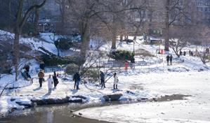 El Concejo de Nueva York investigar&aacute; las muertes provocadas por el fr&iacute;o, que ya suman 17