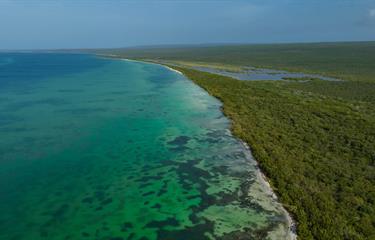 Sentencia del TSA ordena reducción del Parque Jaragua - Diario Libre