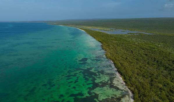 Sentencia del TSA ordena la reducci&oacute;n del Parque Nacional Jaragua