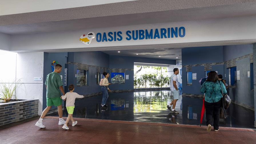 Acuario Nacional reintrodujo m&aacute;s de 1,300 especies a su h&aacute;bitat natural durante el 2025