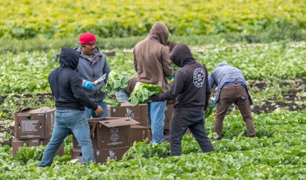 Provincia canadiense elimina la salud p&uacute;blica a los trabajadores temporales extranjeros