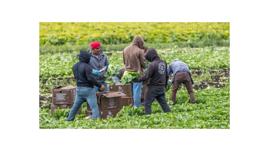 Provincia canadiense elimina la salud p&uacute;blica a los trabajadores temporales extranjeros