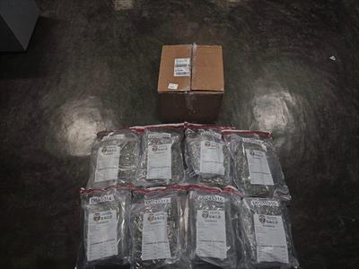 Decomiso de 15 paquetes de marihuana en AILA por la DNCD