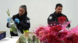 La importaci&oacute;n de flores en Miami sube 6 % para San Valent&iacute;n tras sobrevivir a aranceles