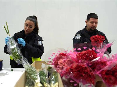 Importación de flores en Miami sube 6 % para San Valentín